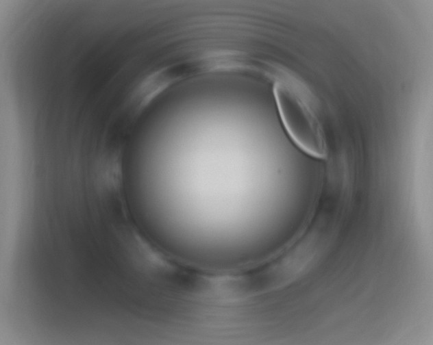 X0000114400897200910231107