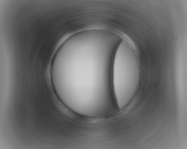 X0000114400899200910231107