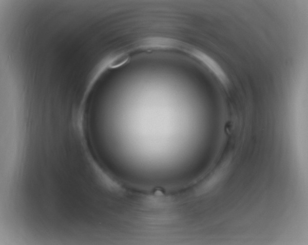 X0000114400901200910231107