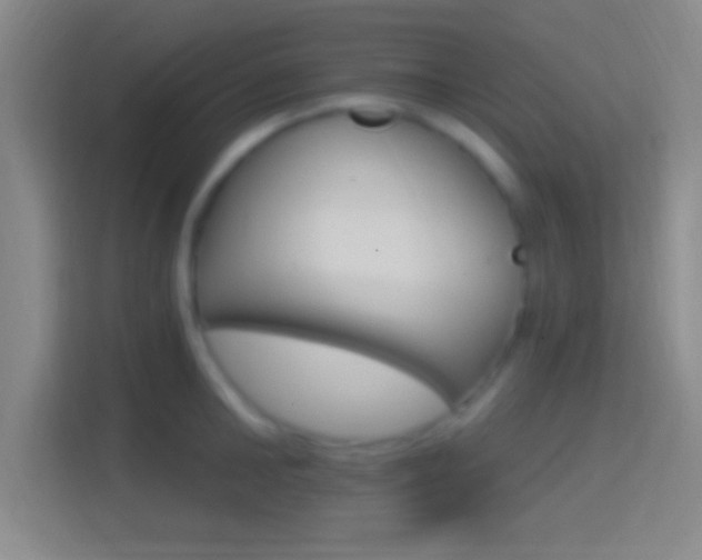 X0000114400902200910231107