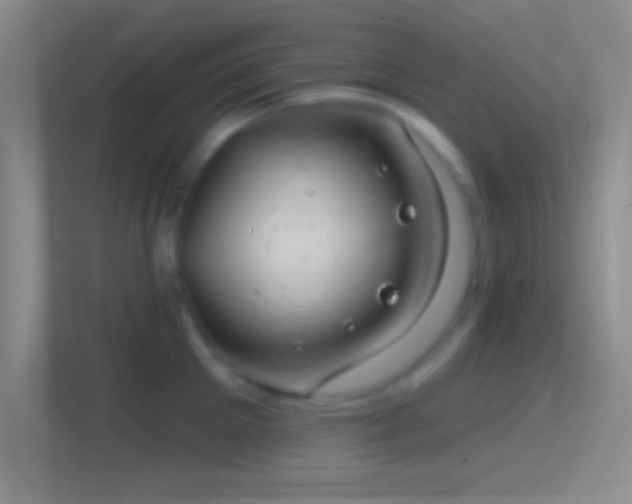 X0000114400905200910231107