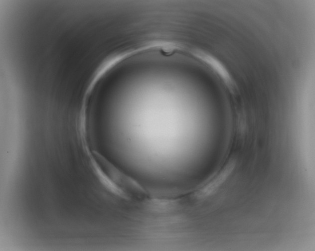 X0000114400910200910231107