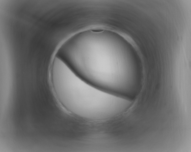 X0000114400912200910231107