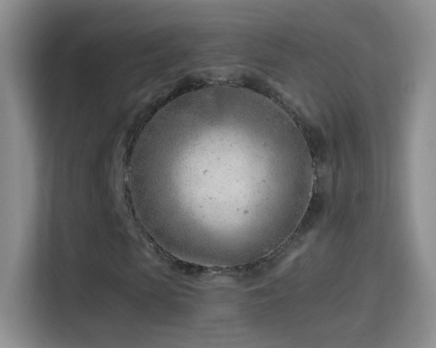 X0000114400913200910231106