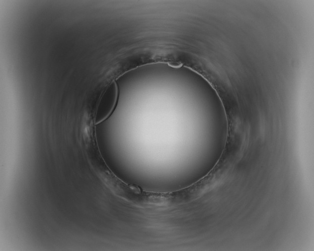 X0000114400914200910231106