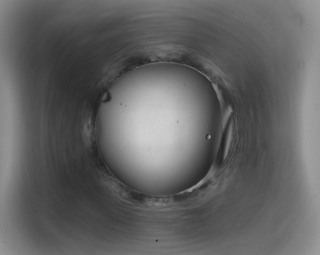 X0000114400915200910231106