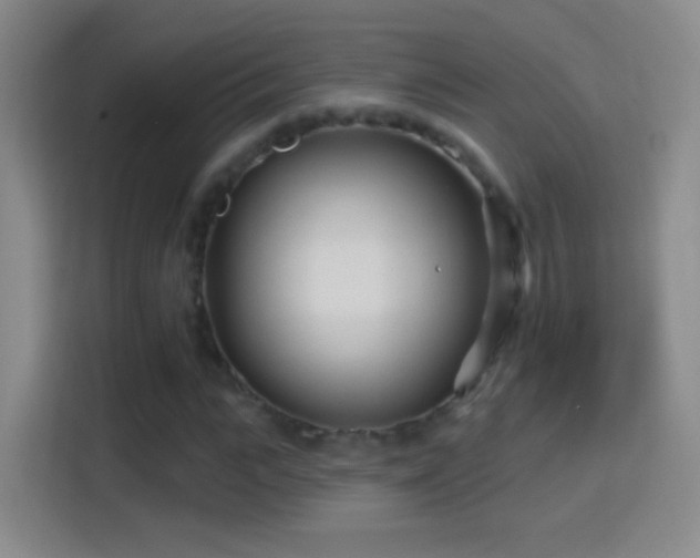 X0000114400919200910231106