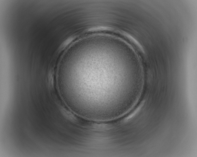 X0000114400921200910231106