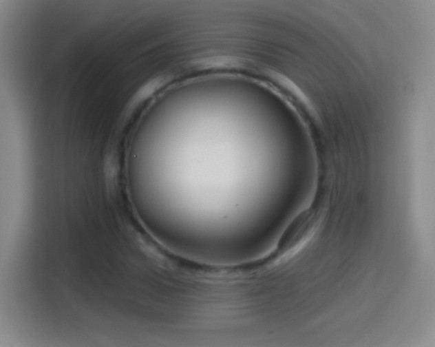 X0000114400922200910231106