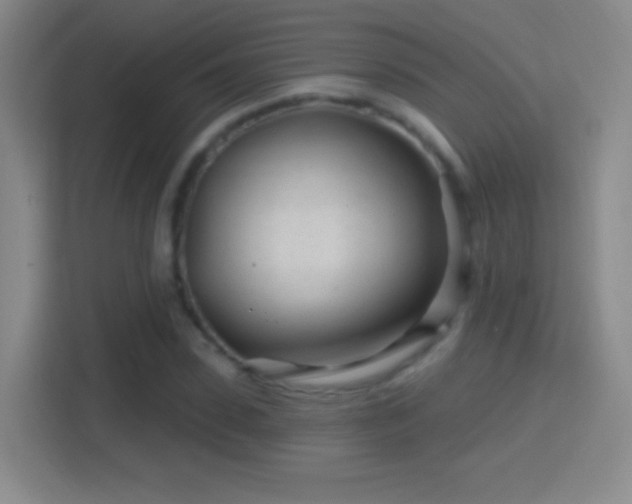 X0000114400923200910231106