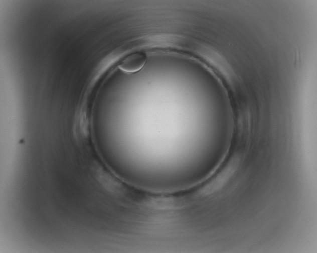 X0000114400925200910231106