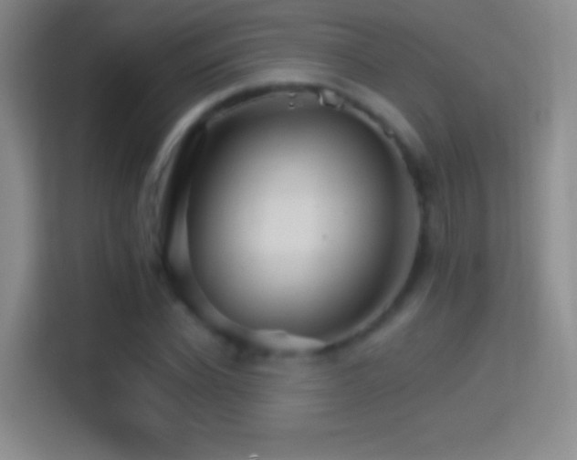 X0000114400926200910231106