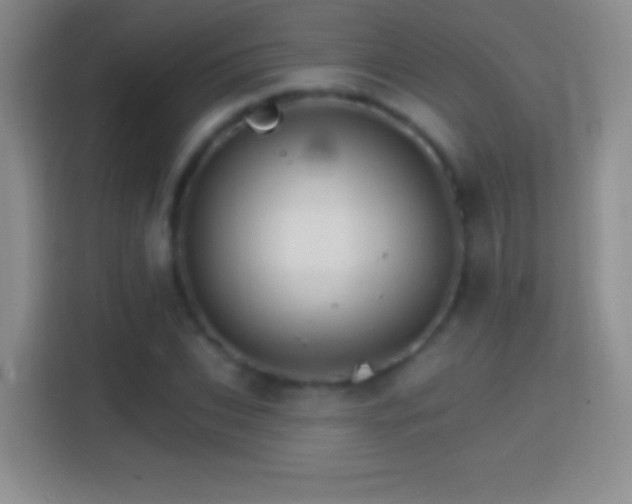 X0000114400927200910231106