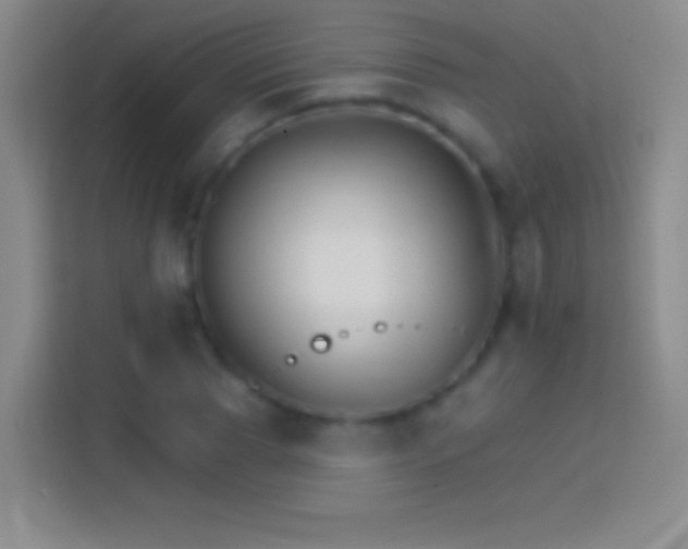 X0000114400929200910231106