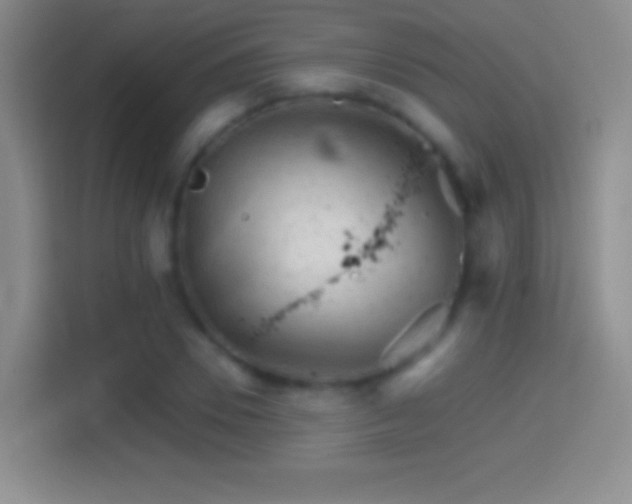 X0000114400930200910231106