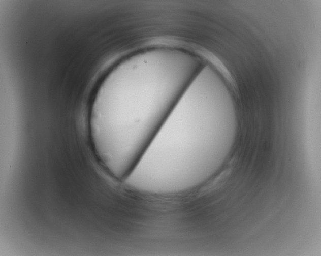 X0000114400931200910231106