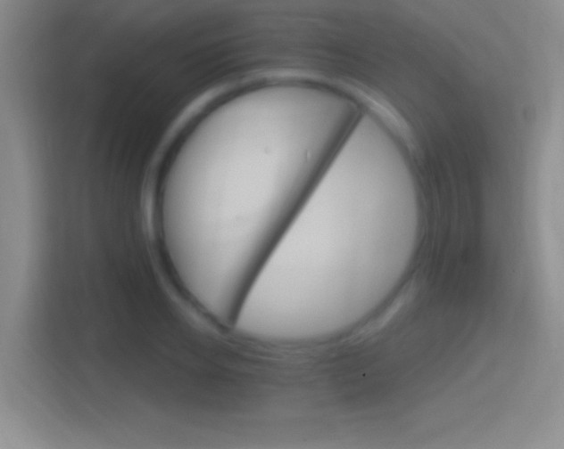 X0000114400934200910231106