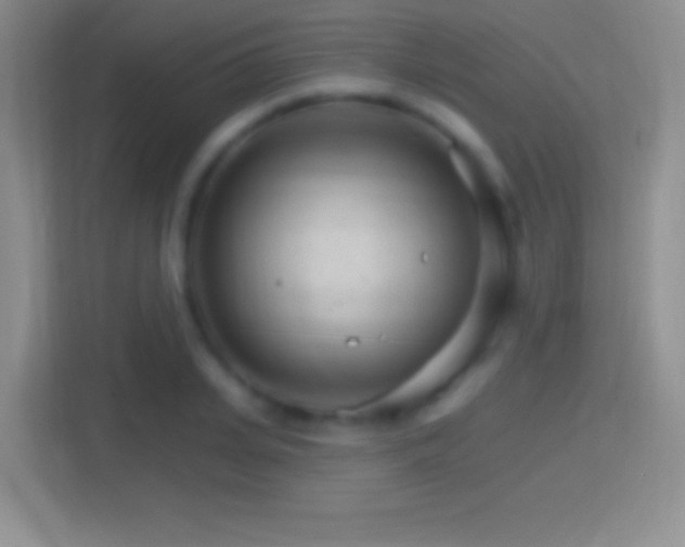 X0000114400935200910231106