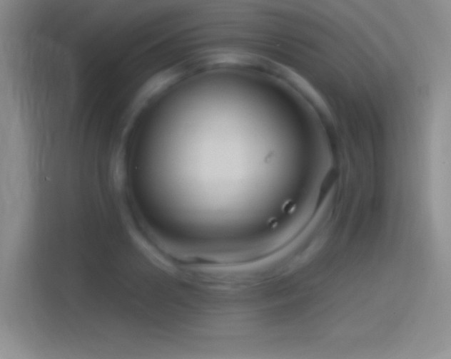 X0000114400938200910231107