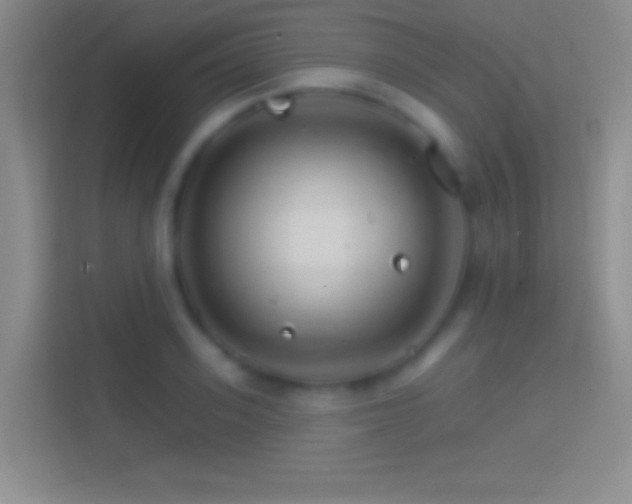 X0000114400939200910231107