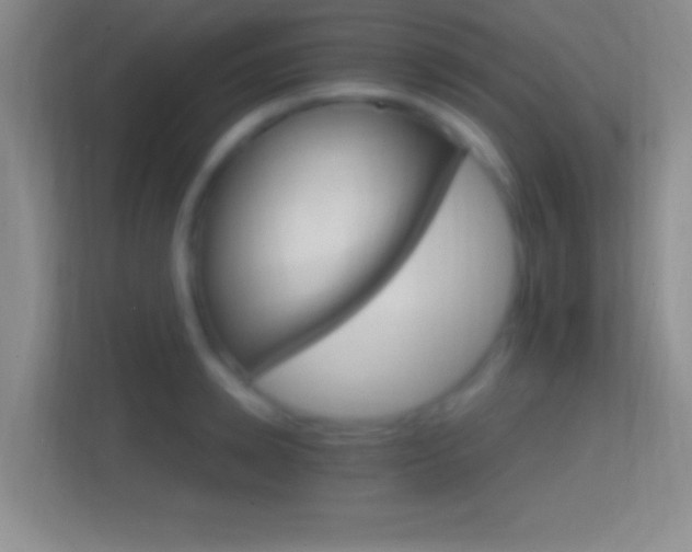 X0000114400942200910231107