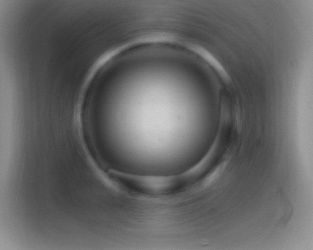 X0000114400943200910231107