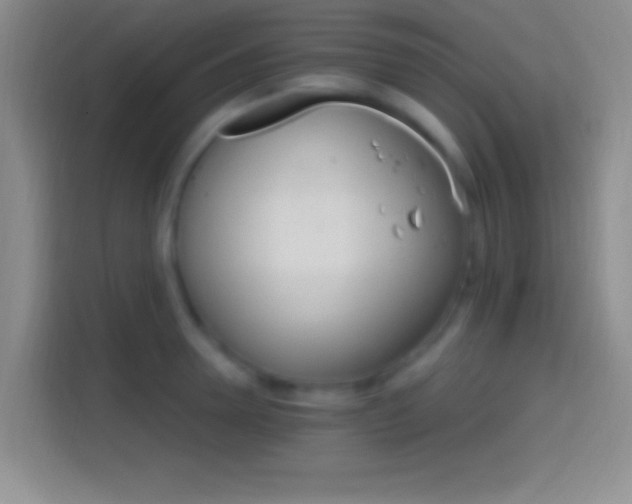 X0000114400946200910231107