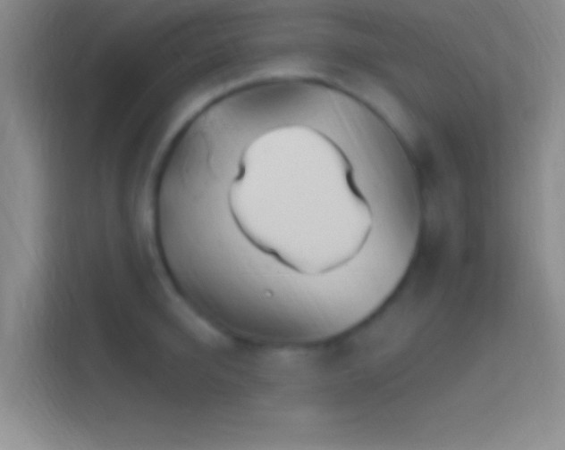 X0000114400950200910231107