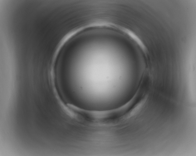 X0000114400951200910231107