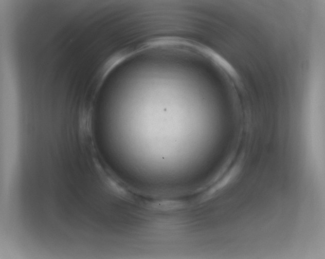 X0000114400953200910231107