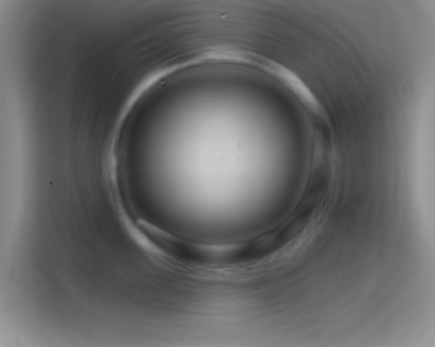 X0000114400955200910231107