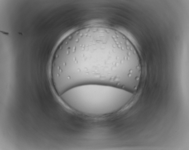 X0000114400957200910231107