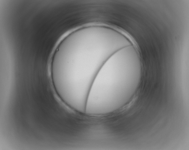 X0000114400958200910231107