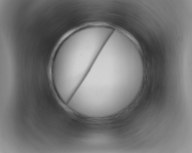 X0000114400959200910231107