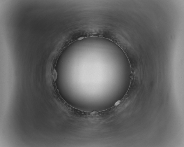 X0000114400961200910231106