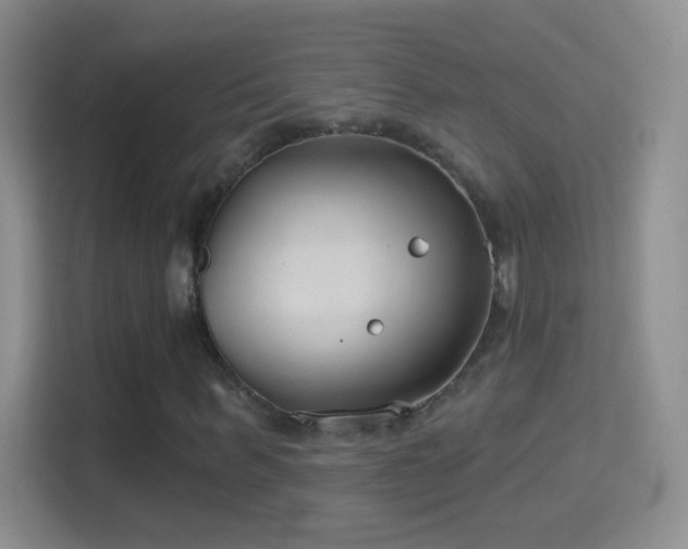 X0000114400963200910231106