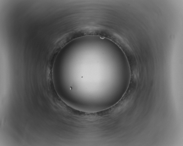 X0000114400964200910231106