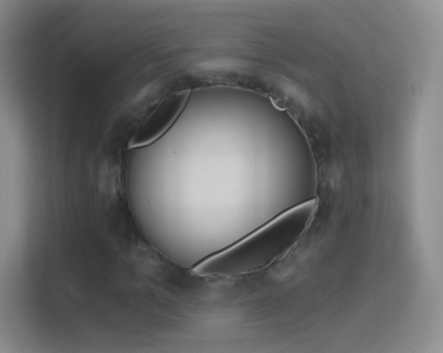 X0000114400965200910231106