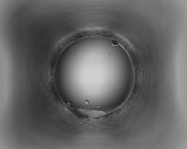 X0000114400966200910231106