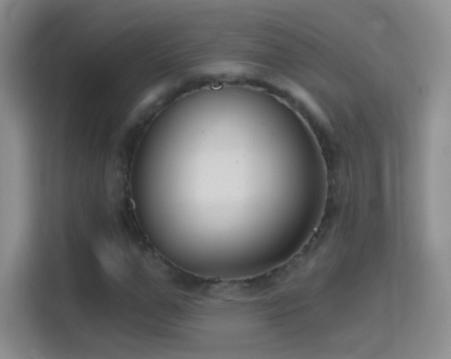 X0000114400967200910231106