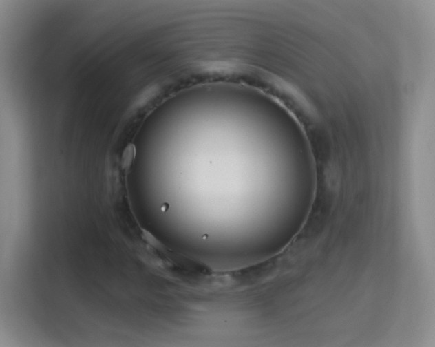 X0000114400968200910231106