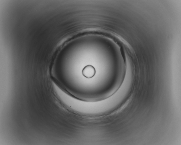 X0000114400969200910231106