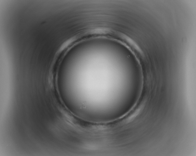 X0000114400970200910231106