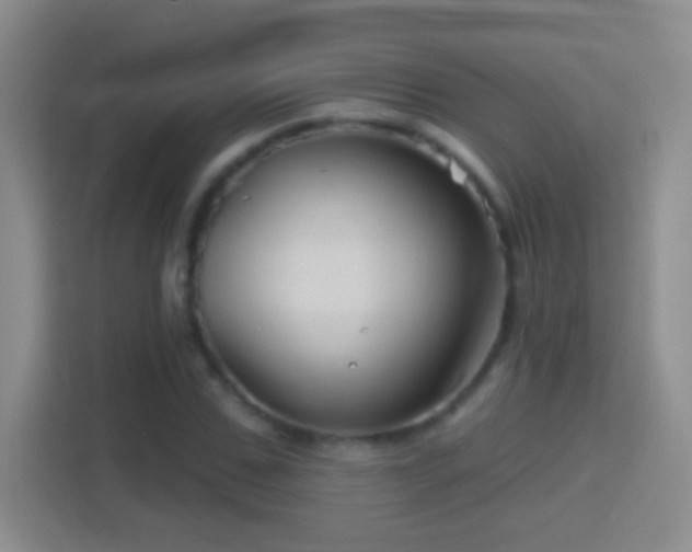 X0000114400971200910231106