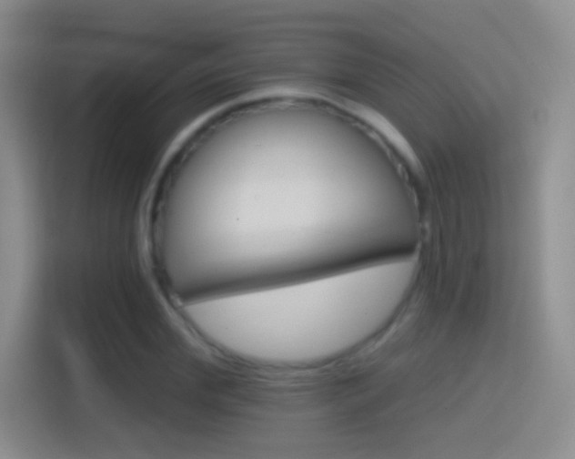 X0000114400972200910231106