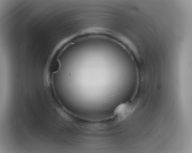 X0000114400973200910231106