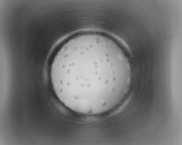 X0000114400974200910231106