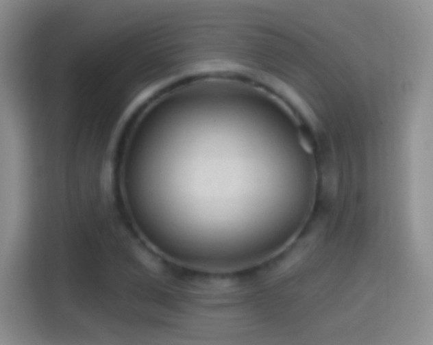 X0000114400975200910231106