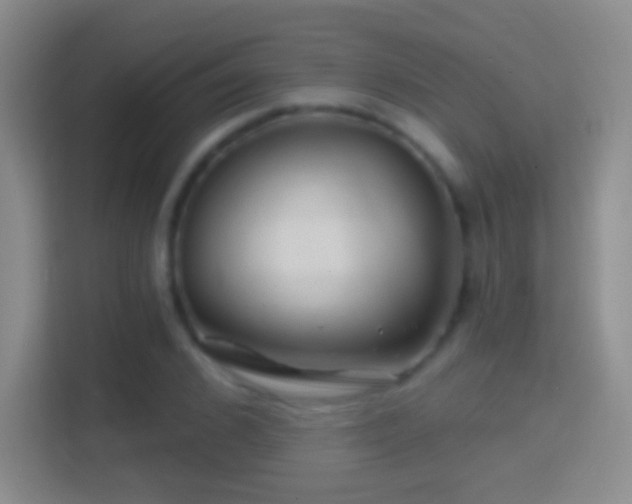 X0000114400976200910231106