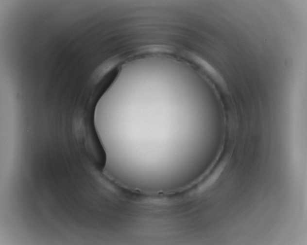 X0000114400977200910231106